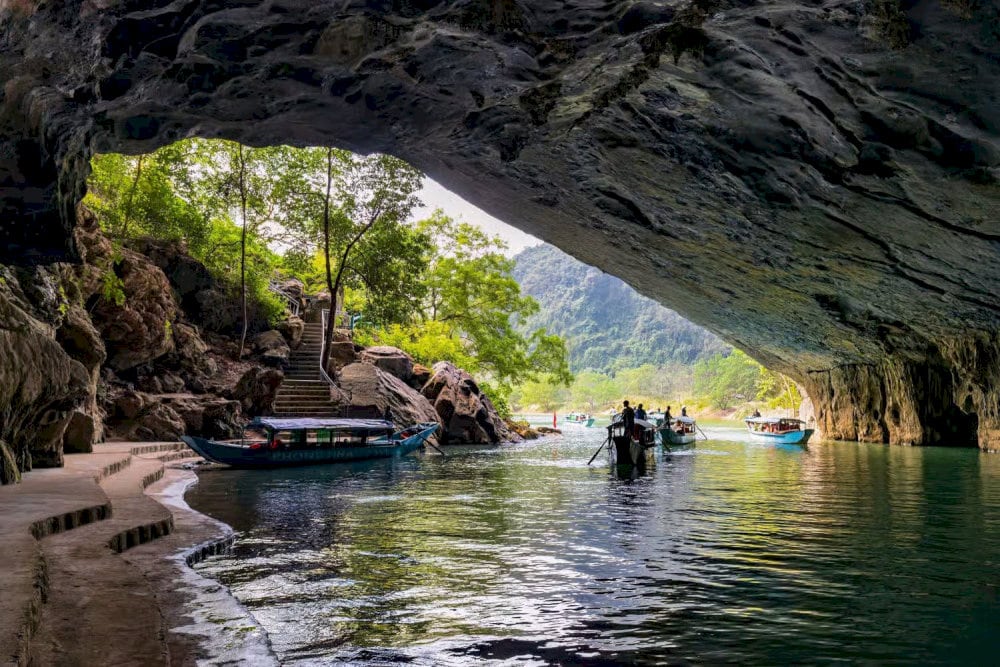 Entrance fees to Phong Nha Cave are clearly listed, allowing visitors to plan their exploration